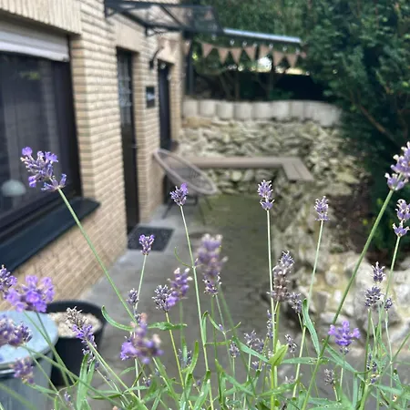 Apartment Auszeit Am Toensberg Teutoburger Wald Oerlinghausen